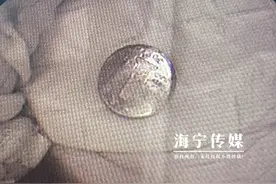 浙江海宁2岁小男孩被紧急送医，医生要求立即手术！这东西家家都有……图片