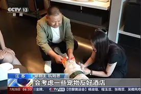 商业空间转型、智能设备火爆……“宠物相关”解锁商业新密码图片