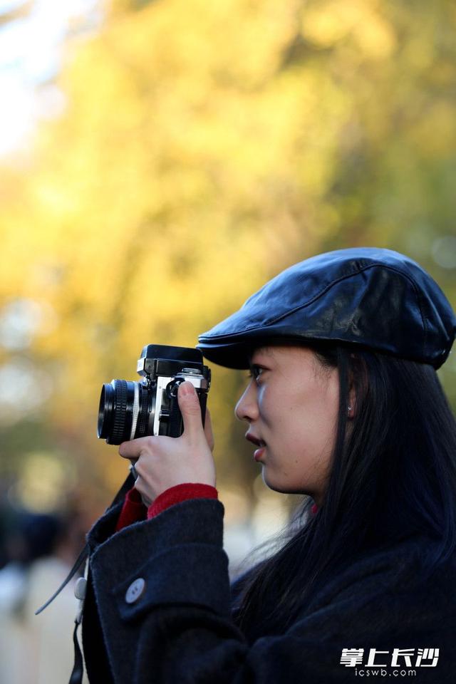 烈士公园“人从众”，29日入园游客超10万人次丨组图