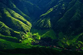 4条邵阳夏季自驾游主题线路，带你解锁23度的夏天图片