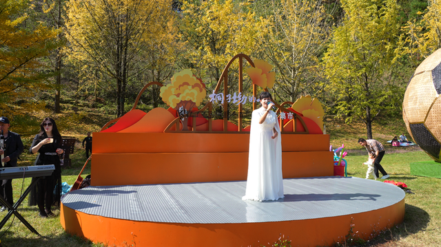 双牌：银杏黄 乡村火 “风景”变“产业”