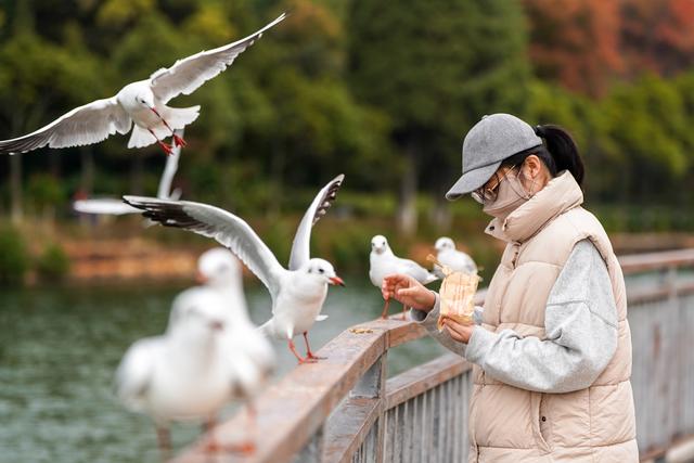 滇池：美景如画引客来