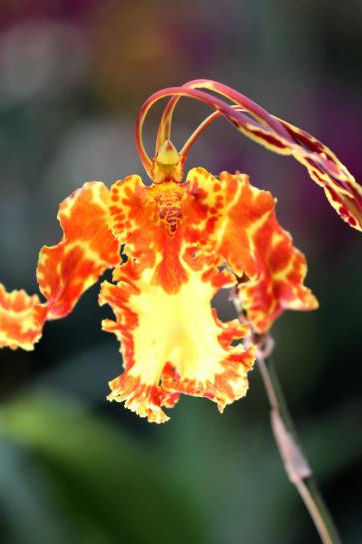 全省推荐！过年来宿迁！