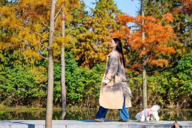 荆州的秋，才是隐藏BOSS！🥰🥰🥰