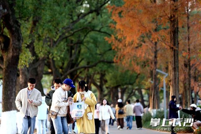 组图｜又是好天气，市民乐游园