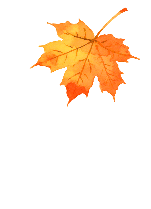 不来珲春，怎知秋色如许？（惊艳美图来袭）