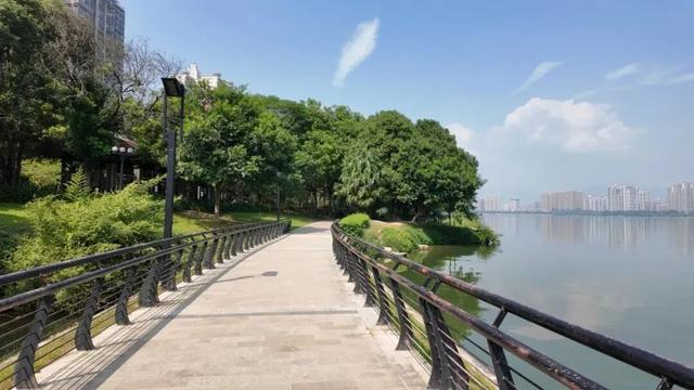 11月的清城，有大动作→