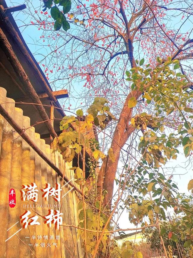 霜降 | 秋将尽，冬未至，正是鄂州好风光