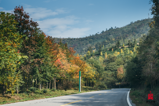 2h直奔武汉“东极”，这条自驾线刷爆朋友圈