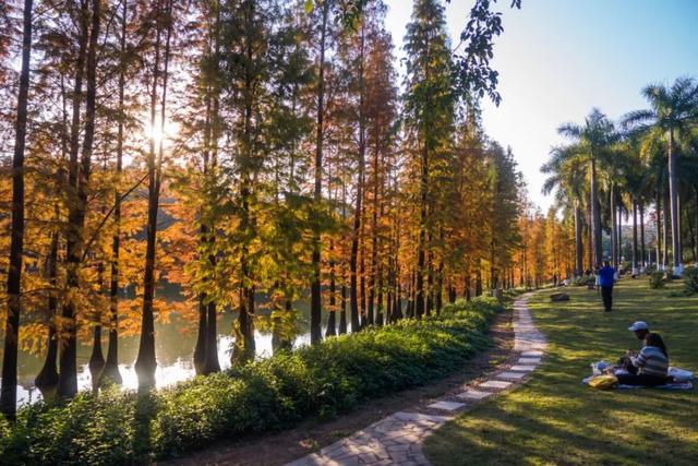 周末 ，宜回归自然！三水露营宝地推荐来了！