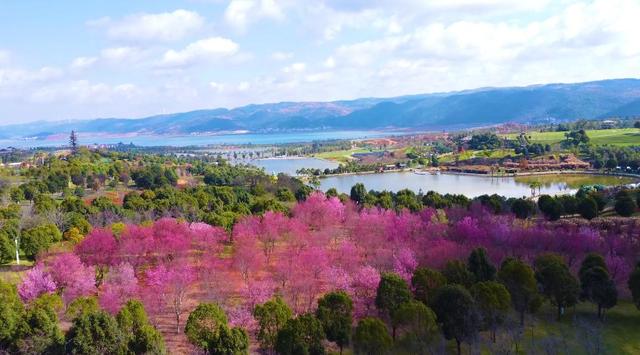 弥勒，人气爆棚！