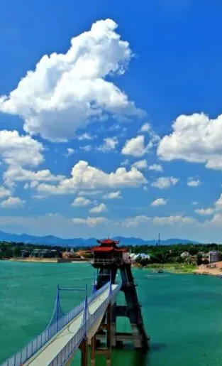 季节限定！洛阳些“海”人少景美，快出发！