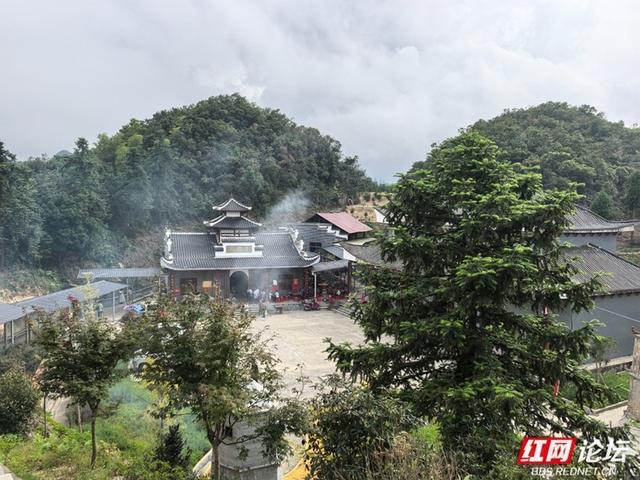 山上烟火起，山下稻金黄｜夏日寻凉九龙山