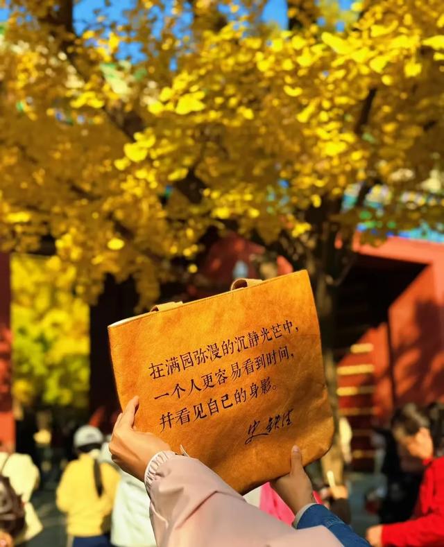 年轻人热衷在北京“访古寻迹”