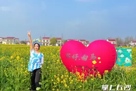 阳春三月，南县邀你畅跑罗文花海图片