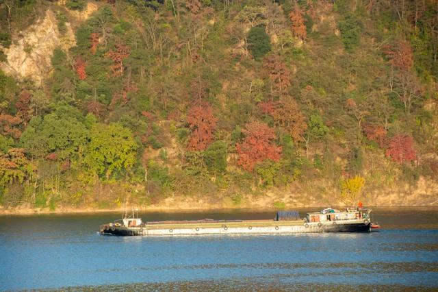 @0731，一组绿心秋色卡，请查收！