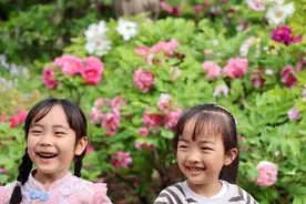 京城拍客今日精选｜满园花开正烂漫，游船点点沐春光图片