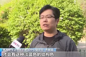 超萌，高原特有！这或是最不为人知的猫科动物了图片