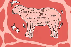羊的哪些部位吃不得？食用指南附羊肉卷挑选小贴士→图片