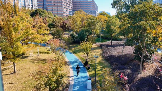 第一波红叶已登场！快来普陀这里感受浪漫→