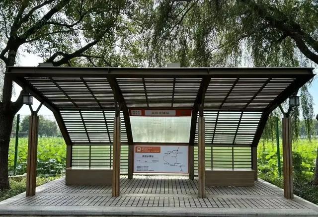 上海人的“宝藏后花园”全面升级啦！水上森林玩出新花样，这份攻略请收好！
