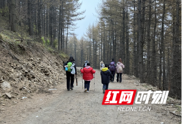 徒步麻田岭后，我看懂了文旅发展在走的路丨在路上·青椒国庆特辑⑲