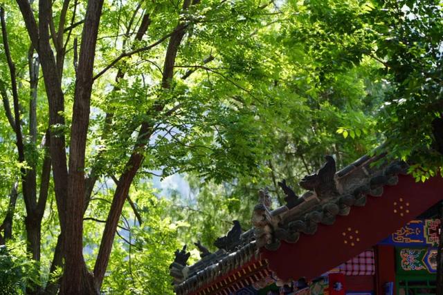高温来避暑！河南这些景区有免门票等优惠政策