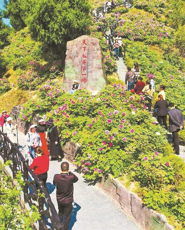 跨省“微度假”解锁川渝小城引流密码