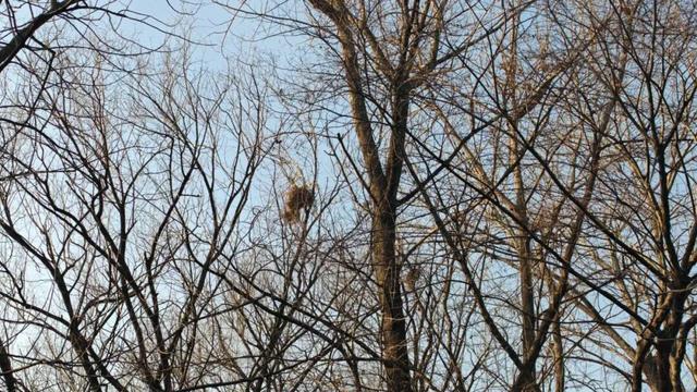 长宁家门口的“宝藏”绿道，运动赏景两不误！