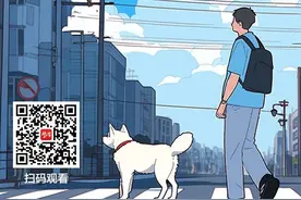 国际盲人节 | 带你认识视障朋友的“拐杖”——导盲犬图片