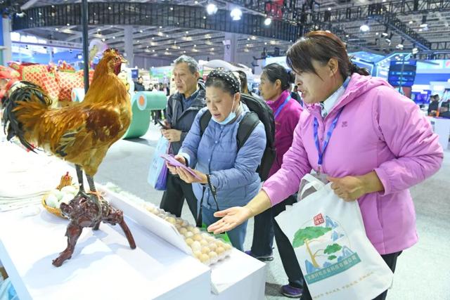 长三角文博会｜“文化淮军”闪耀长三角文博会