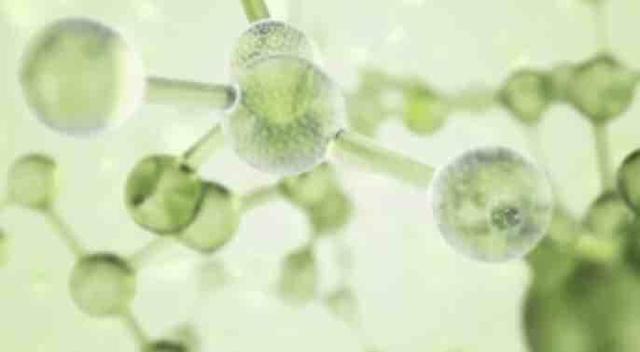 青岛崂山：生物黑科技 新型面料能驱蚊