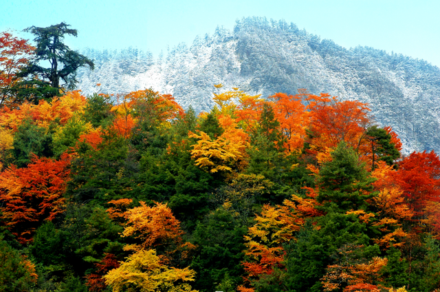 广元⇄甘孜 梦幻联动！七折游两地A级景区！