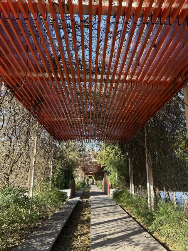 全部免费!西安4个冬日晒太阳好去处!