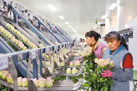 鲜花工厂里的“黑科技”图片