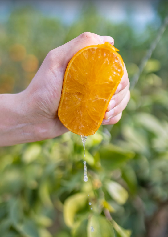 溧水赏秋指南，这周末就出发！