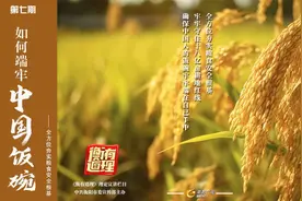 《衡有道理》⑦ | 如何端牢中国饭碗——全方位夯实粮食安全根基视频封面