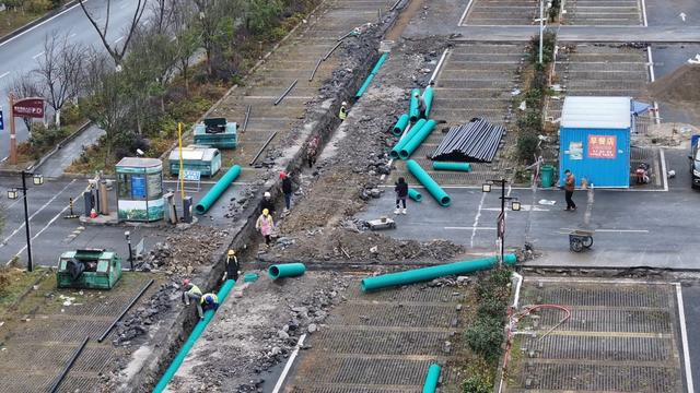 百里杜鹃：淡季“强基” 服务升级