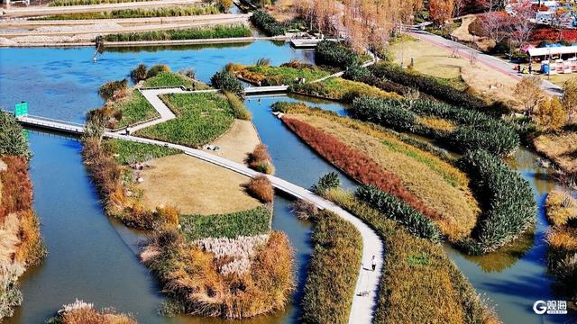 青岛人家门口的“生态园”：一河秋景，满园生机