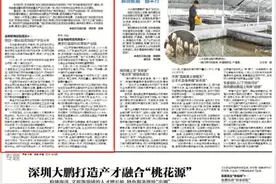 南方日报“奋进百千万”专栏：荒滩上建起现代工厂，茂名打造零碳产业园图片