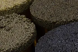 浙江鱼子酱跃出国门的三个故事图片