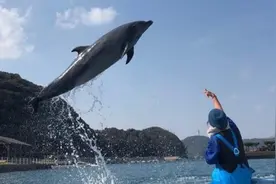 开启首航倒计时，超大国际邮轮“海洋光谱号”4月回归上海图片