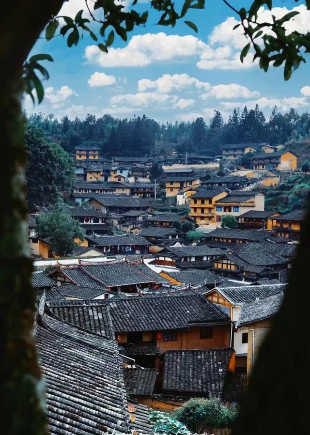 航旅融合 | 抽免费机票，到三明20℃的暖冬里，邂逅令人怦然心动的秘境