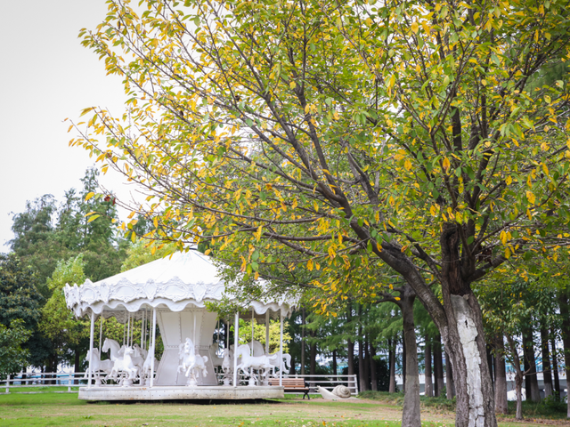 武进绝美打卡地！在嘉泽、湖塘、雪堰、前黄……