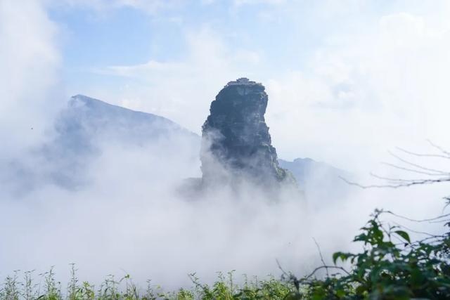 22℃的“天空之城”——贵州梵净山如何守住夏日清凉密码