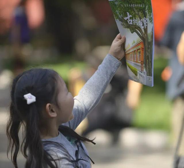 北京十六区，区区有“树王”！古树科普宣传周活动将启动