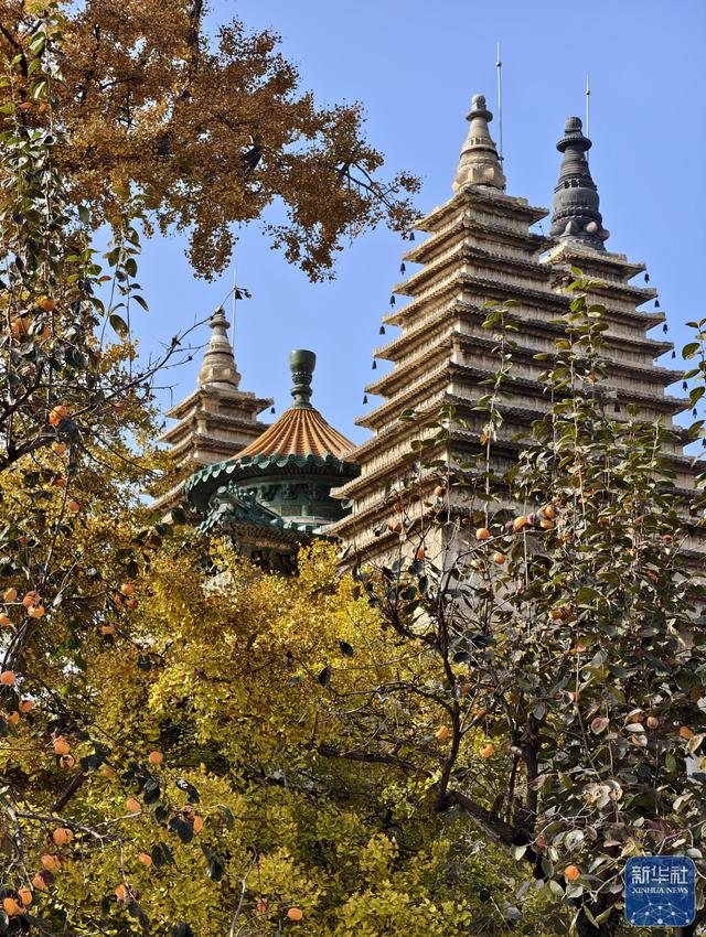 北京：五塔寺秋色浓