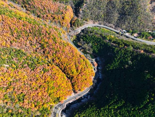 调色盘已打翻，泰山西麓这场初冬色彩之约别错过