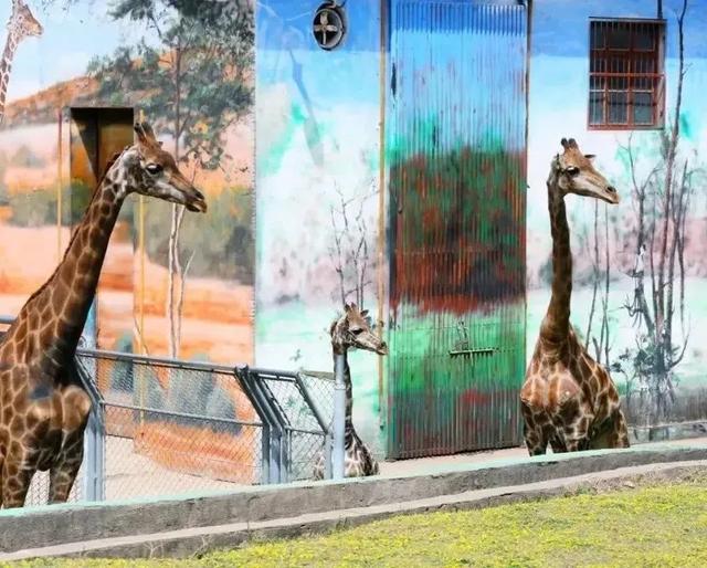 淡季优惠来了!这些秦岭景区向你发出冬日邀约