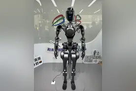 人形机器人“入职”上海世纪公园当导游，目前还在“考察期”图片